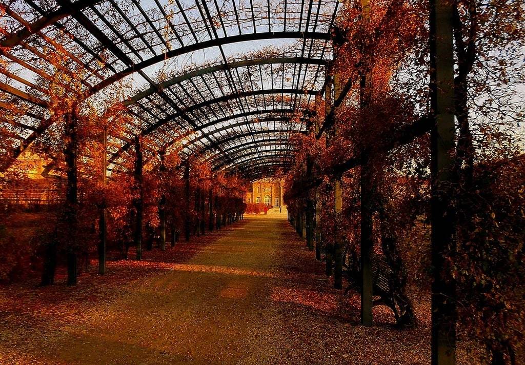 Quelques conseils avant d'installer une pergola dans son jardin